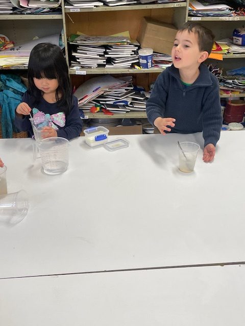 Scientists at work - Science Week 2025